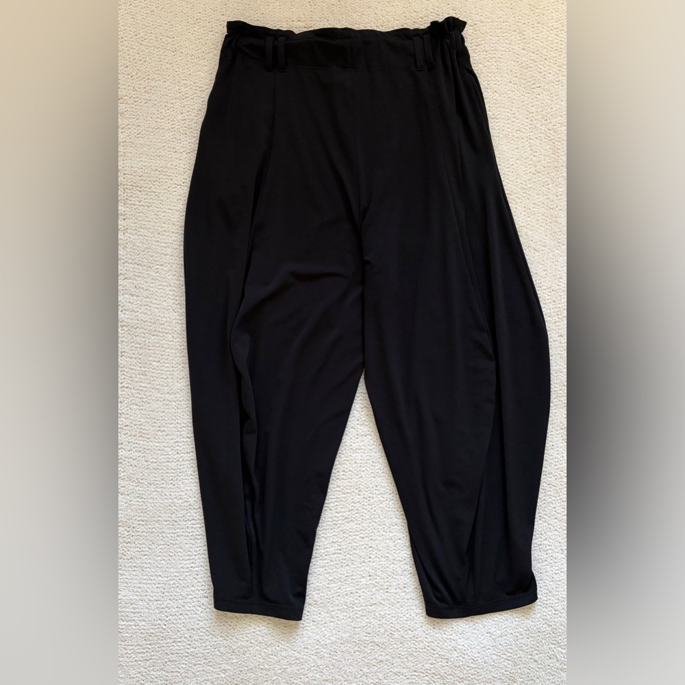 Anthropologie Paper Bag Black Pants Loose Fit Harem Barrell Leg Ankle Size SP - Picture 2 of 8